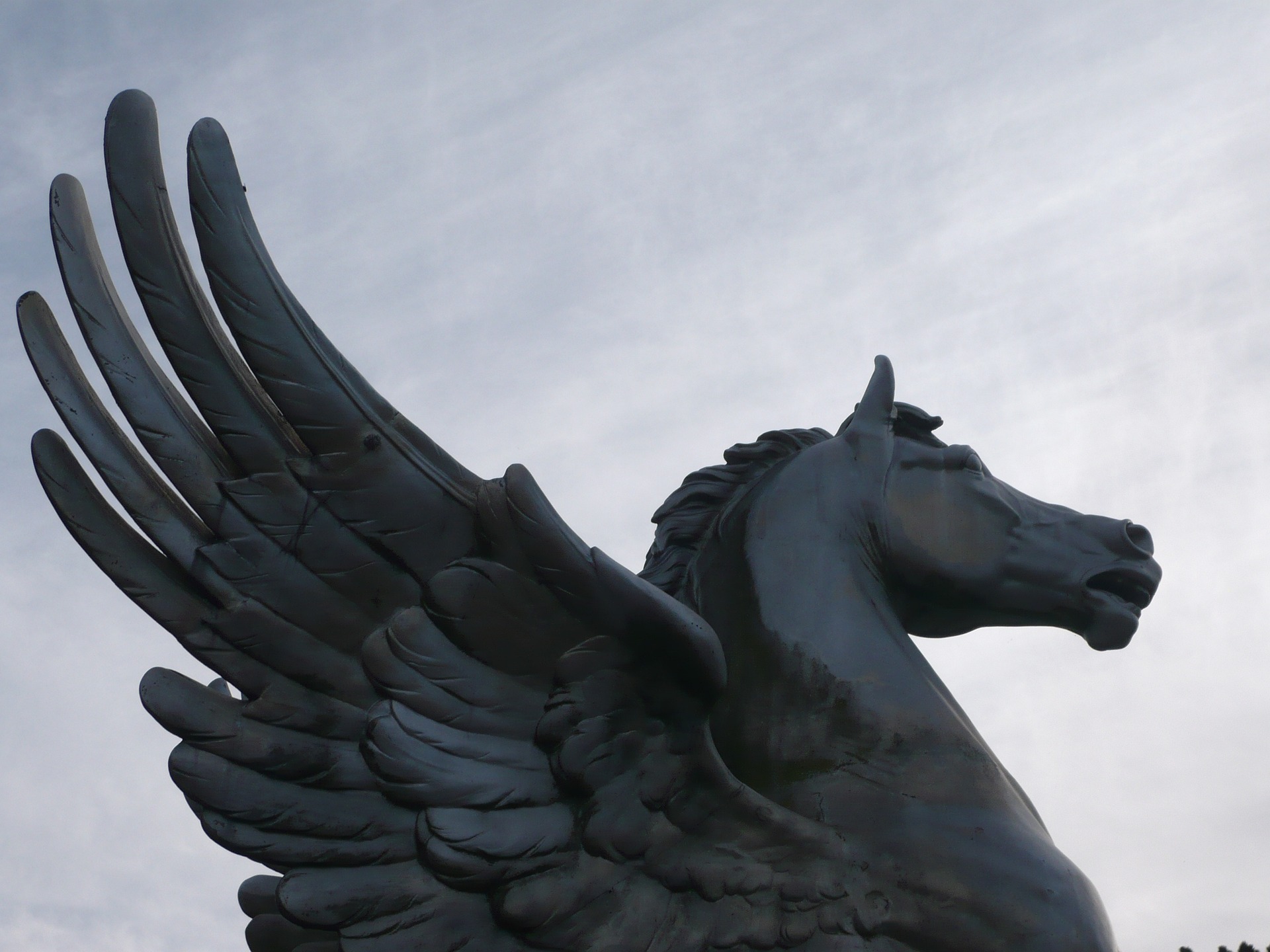 horse-gf80c7c7a0_1920